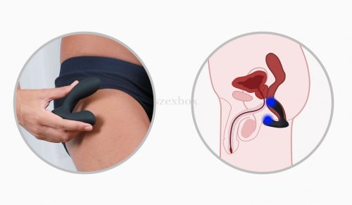 Svakom Vick Neo prostate vibrator