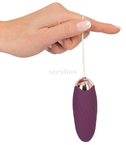 Javida Shaking Love rechargeable radio pulsating vibrating egg