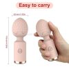 Sunfo Strawberry rechargeable mini massaging vibrator
