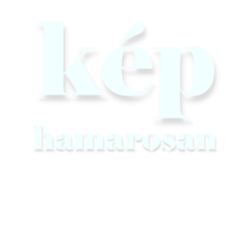 Heart-shaped silicone whip - black