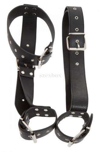 Bad Kitty kezeket hátra kötöző