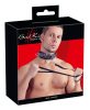 Bad Kitty - spiked studded collar with leash (black)