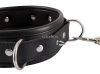 Bad Kitty - spiked studded collar with leash (black)