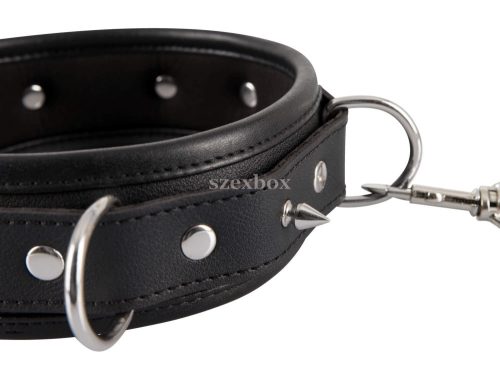 Bad Kitty - spiked studded collar with leash (black)