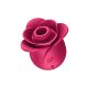 Satisfyer Pro 2 Rose Modern rechargeable air-wave clitoral stimulator
