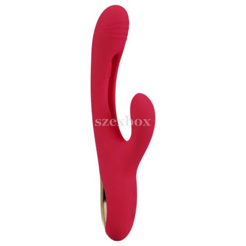 Couple vibrator set