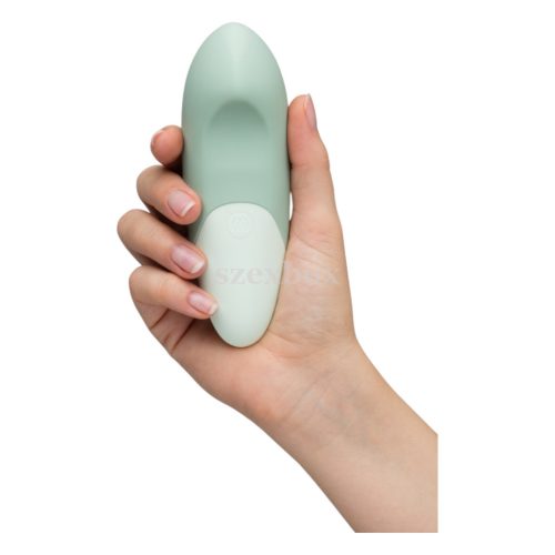 Womanizer Vibe clitoral vibrator