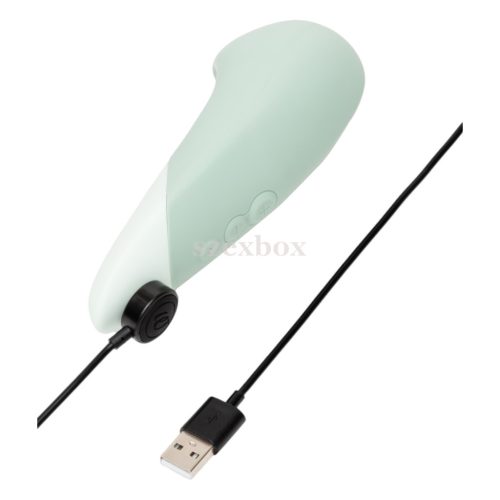 Womanizer Vibe clitoral vibrator