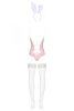 Obsessive Bunny girl costume 