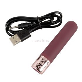 Bullet rechargeable mini rod vibrator