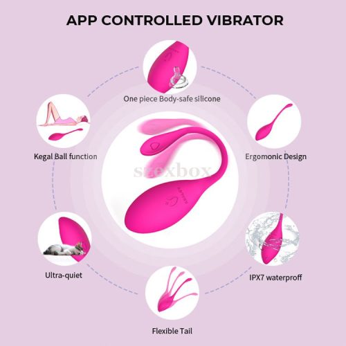 Realov Serena Smart Mini Vibe