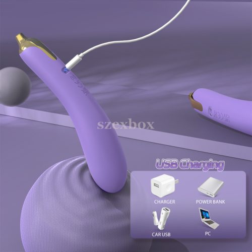 Eggplant vibrator with 9 modes – a fun and sensual experience