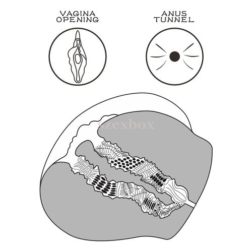 Streetgirl’s Carmen lifelike vagina and anus – double pleasure