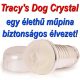 Tracy's Dog Crystal élethű műpunci maszturbátor