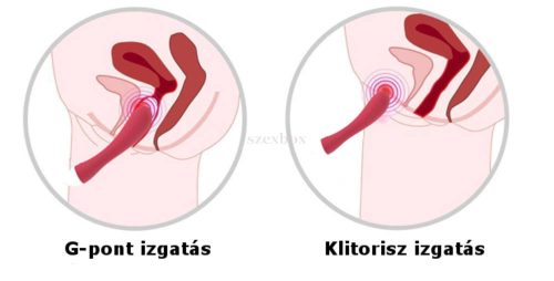cotoxo-dolphin-akkus-csiklokaros-vibrator-piros