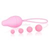 Intimichic Pelvis Vaginal Pelvic Muscle Developer Set