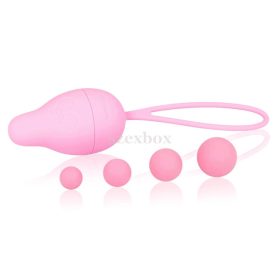 Intimichic Pelvis Vaginal Pelvic Muscle Developer Set