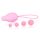 Intimichic Pelvis Vaginal Pelvic Muscle Developer Set