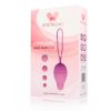 Intimichic Pelvis Vaginal Pelvic Muscle Developer Set