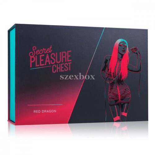 Secret Pleasure Chest BDSM set 14 pieces
