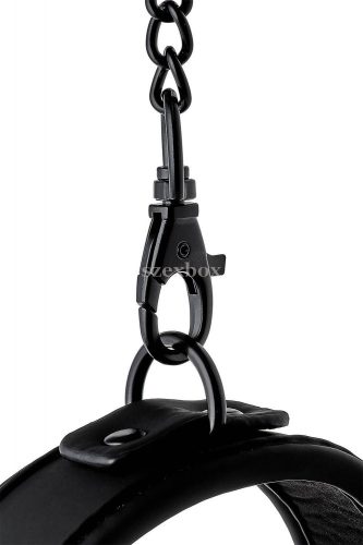 Blaze collar with leash