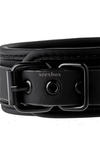 Blaze collar with leash