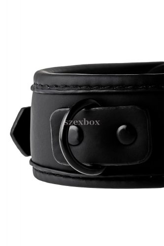 Blaze collar with leash