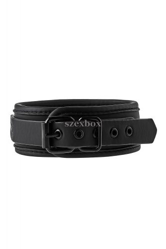 Blaze collar with leash