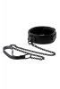 Blaze collar with leash