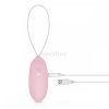 LUV EGG rechargeable radio vibrating egg