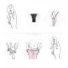 Pantyrebel radio vibration lace thong