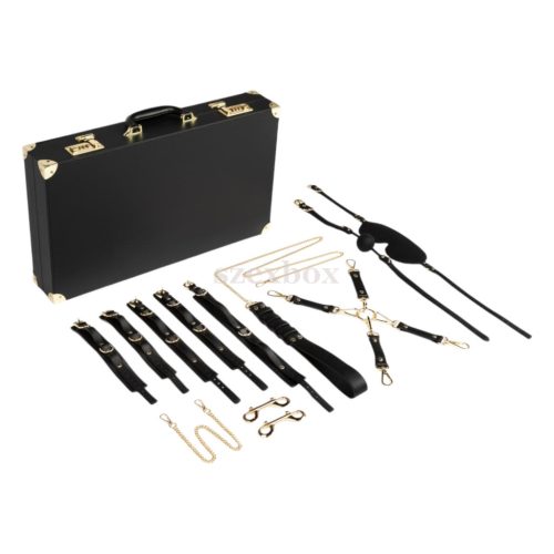 Bedroom Fantasies 11 pieces BDSM suitcase