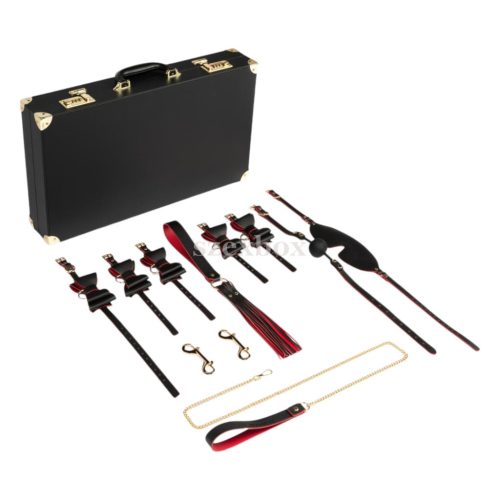 Bedroom Fantasies 13 pieces BDSM suitcase