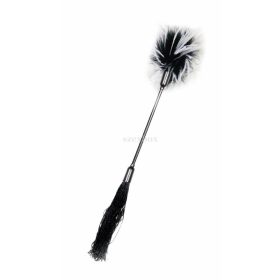 Whip and caress in one black and white