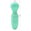 Pretty Love Mini vibrator massager