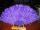 Marabutoll fan purple